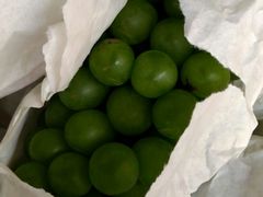 -马陆小张葡萄园农家乐