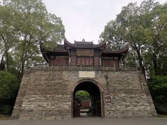 -桂湖森林公园