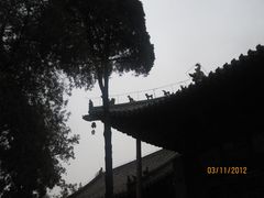 -关林