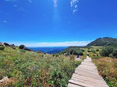 -白草畔自然风景区