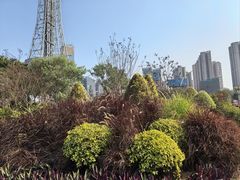 -文华公园(禅城区)