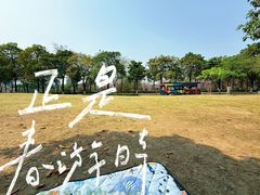 -广东花都湖国家湿地公园