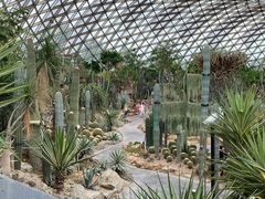 -上海辰山植物园