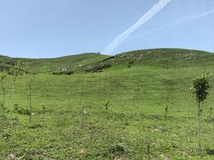 -新疆那拉提国家旅游度假区