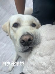 -HEYAN荷妍专业脱毛连锁机构