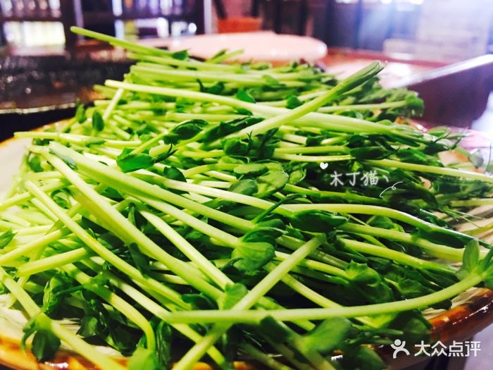 青瓦醉巷火锅餐厅活体豆苗图片 - 第9张