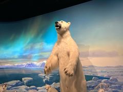 -陕西自然博物馆