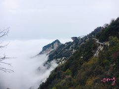 -少华山国家森林公园