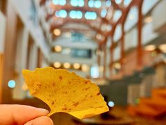 -上海交通大学(闵行校区)