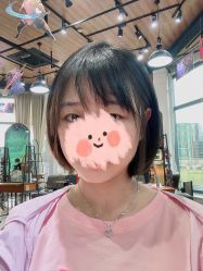 -IDOL-PLUS