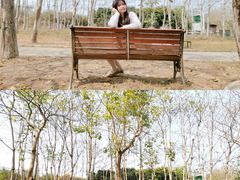 -天适樱花悠乐园