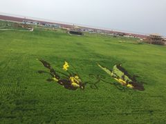 -红海滩国家风景廊道