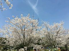 -上海植物园-4号门售票处