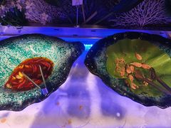 -钓鱼岛洗浴休闲会馆(卫星路店)