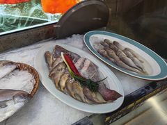 -渔娘渔家丹东海鲜(东直门店)