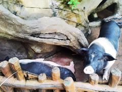 -长鹿旅游休博园