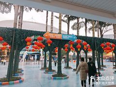 -海合安成都极地海洋公园