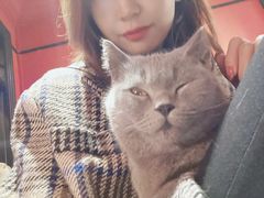 -猫色咖啡·猫咖