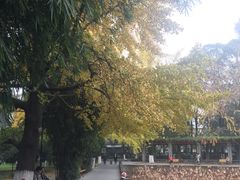 -四川大学(华西校区)