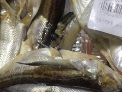 -元初食品(幸福e家小区店)