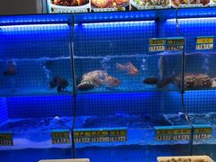 -启东小海鲜(庄先湾路1号店)