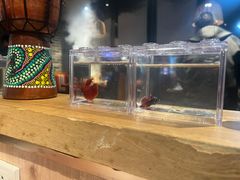 -云中鱼蒸汽石锅鱼(浦东食品城店)