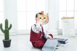 -童梦时光儿童摄影(华业·东方玫瑰店)