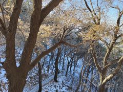 -终南山南五台景区