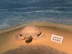 -嘉定博物馆
