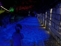 -胡里山炮台