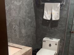 -龙禧盛精品酒店(天津西站店)