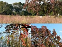 -艾溪湖湿地公园