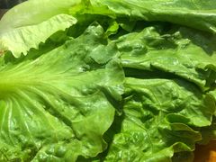 -口岸齐齐哈尔烤肉(风尚米兰总店)