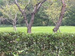 -虹之森·小馆