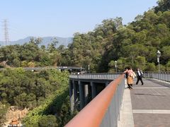 -金鸡山公园