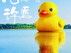 -深圳人才公园