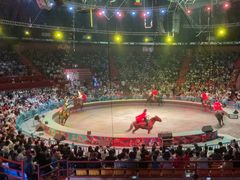 -俄罗斯国家大马戏团