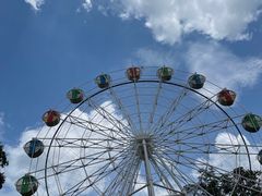 -森波拉奇妙世界