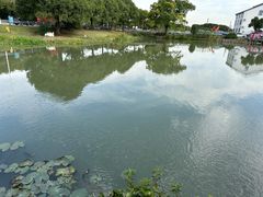-水岸居湖景农家乐·阳澄湖大闸蟹