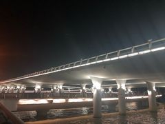 -演武大桥观景平台