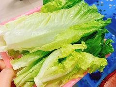 青菜-中山脆肉鲩(新圳东路店)