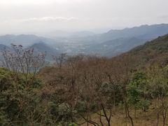 -广州市石门国家森林公园