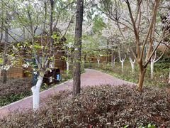 -云幽谷旅游区