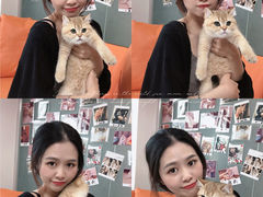 -lincat·猫舍(广州店)