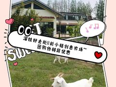 -前小桔亲子创意农场·草莓采摘·露营烧烤