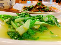 炝炒小白菜-易老妈蹄花.特色川菜(人民公园总店)