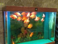 -新碧水留香新桑拿