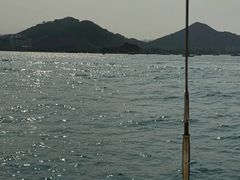 -小猫钓鱼海钓俱乐部(椰梦长廊店)