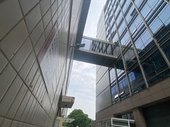 -北京大学肿瘤医院