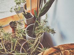 -AHAVA·Fang Baking Studio
